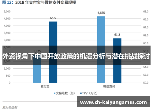 外资视角下中国开放政策的机遇分析与潜在挑战探讨