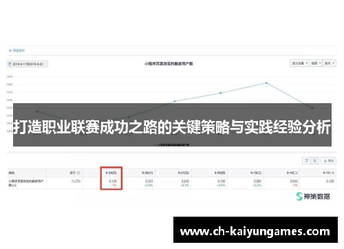 打造职业联赛成功之路的关键策略与实践经验分析